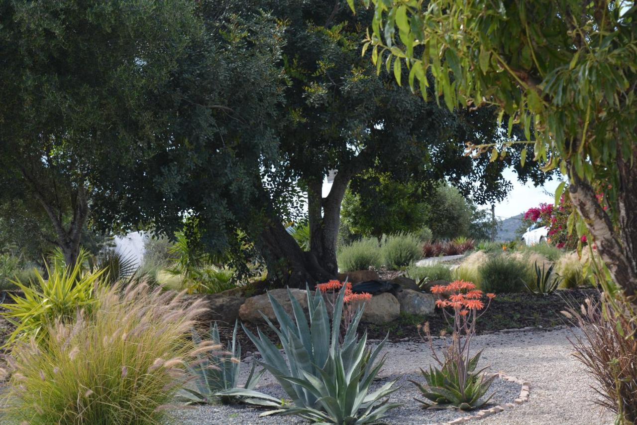 Quinta Luz Do Sol Bed & Breakfast Moncarapacho Bagian luar foto